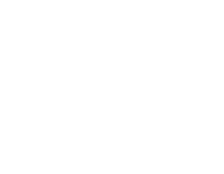 Bushwear Logo