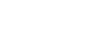 Diesel Sellerz Logo